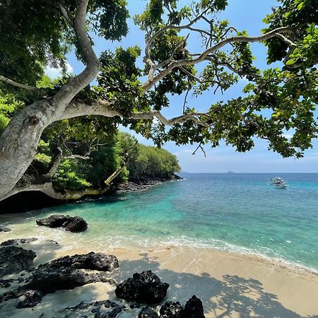 Green Merta Padangbai  Luaran gambar