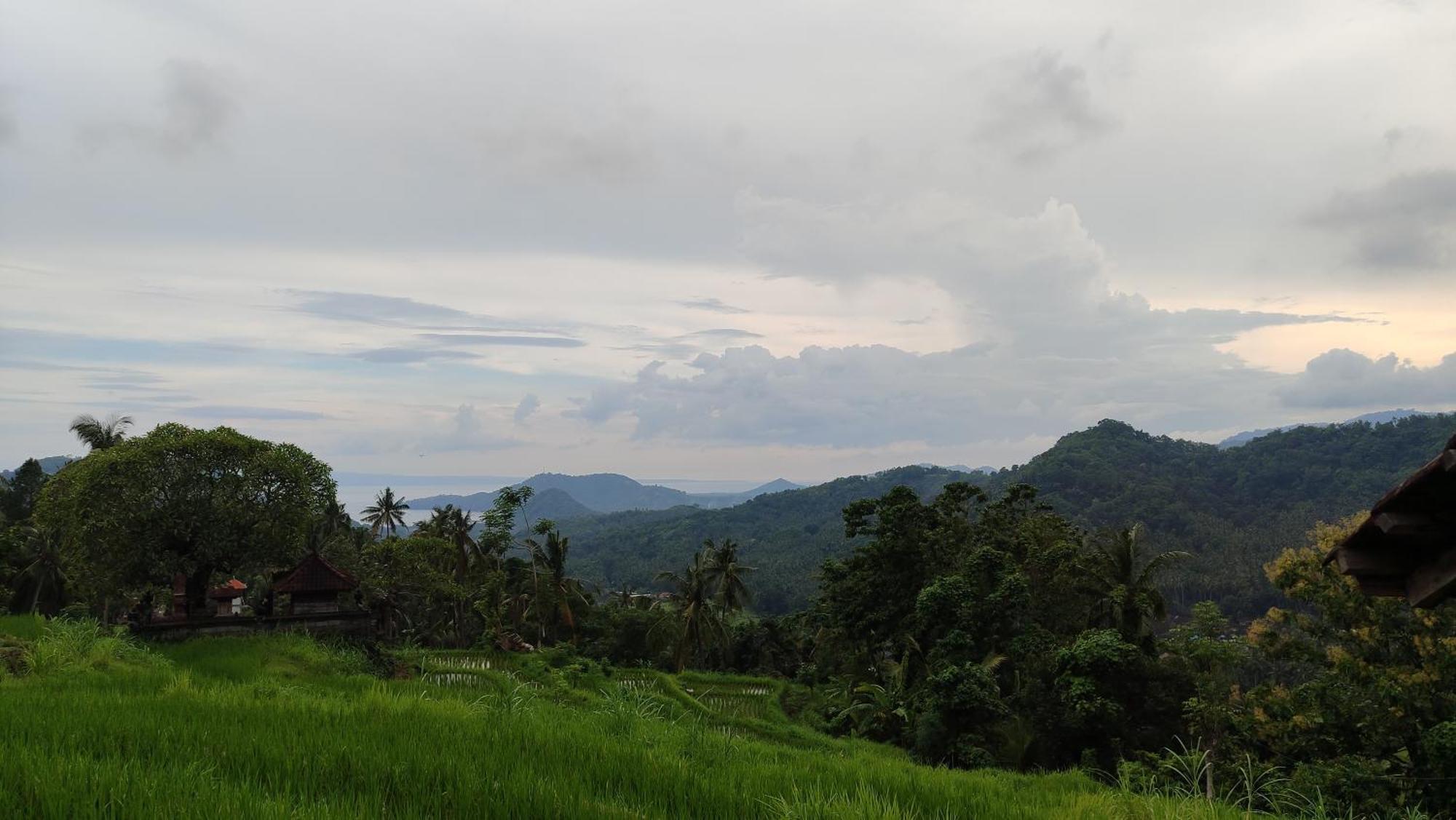 Green Merta Padangbai  Luaran gambar